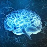 A Neurociência por Trás da Logística de Última Milha: Como Entender o Comportamento do Consumidor