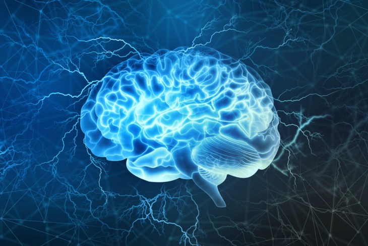 A Neurociência por Trás da Logística de Última Milha: Como Entender o Comportamento do Consumidor